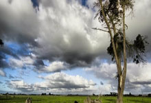 足球比分比分直播500是什么？怎么用？