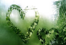 搜狐国际足球报道为何能成为球迷的信息根据地？